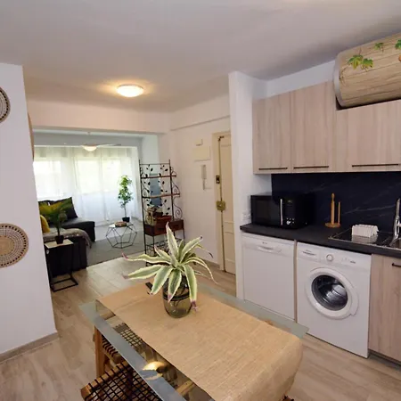 Apartment Playa